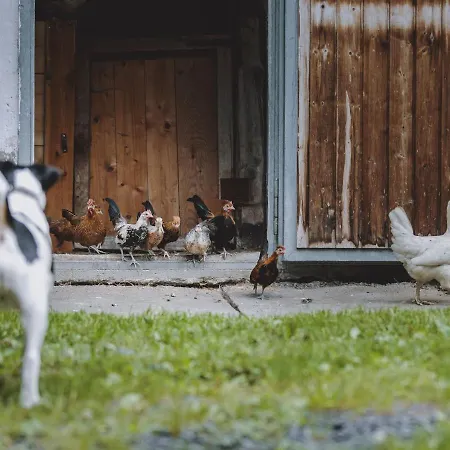 In Fusch Near Grossglockner Road * Fusch an der Grossglocknerstrasse