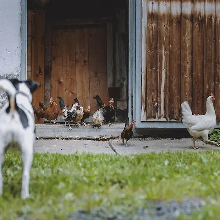 In Fusch Near Grossglockner Road *