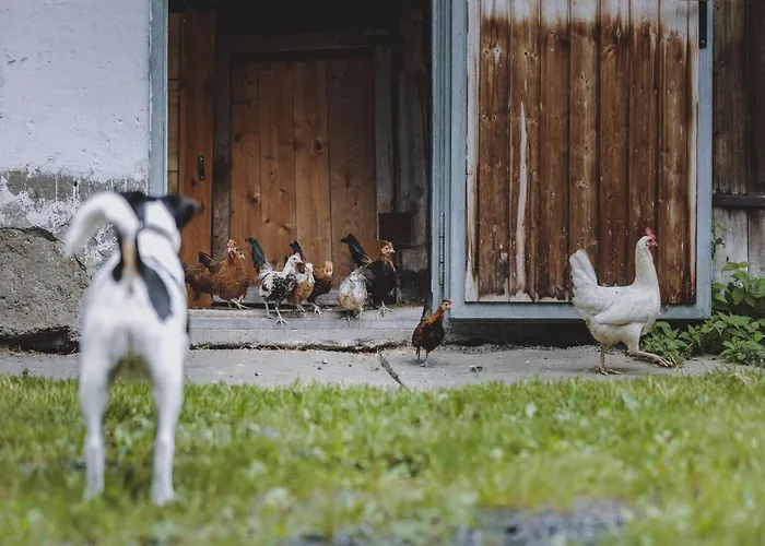 In Fusch Near Grossglockner Road *